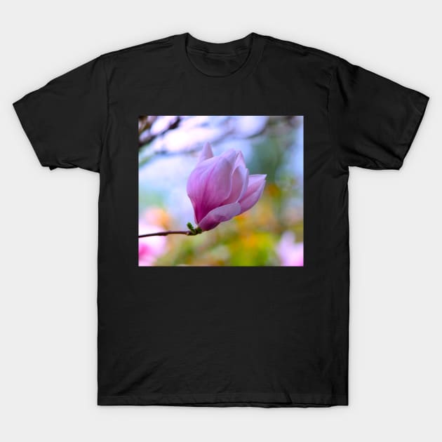 Magnolia flower T-Shirt by EmiBarDesign